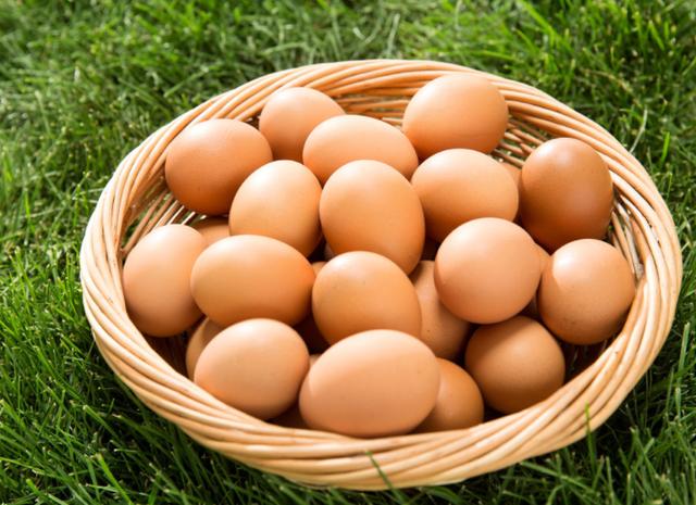 最新鸡价背后的温情故事揭秘