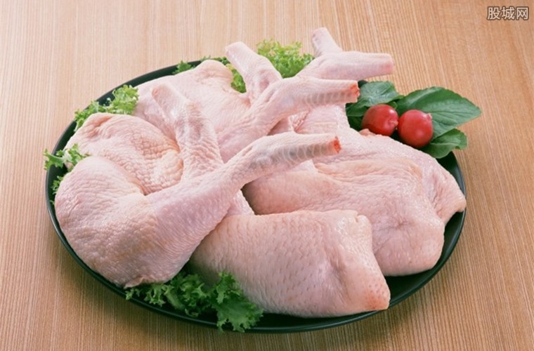 最新鸡价背后的温情故事揭秘