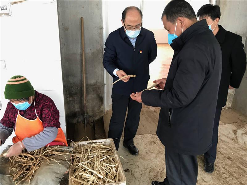 财税新政引领科技浪潮,前沿政策下的高科技产品体验之旅