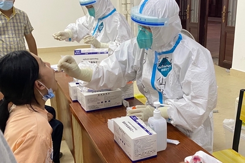 最新莆田核酸检测步骤指南,适合初学者与进阶用户的全面指南