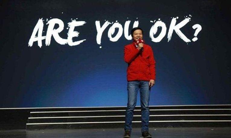 小米股票最新动态，心灵与自然的奇妙之旅