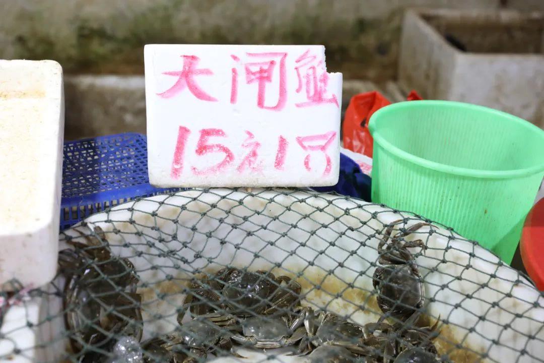 贝伐最新价格,贝伐最新价格,时代背景下的市场定位与变迁