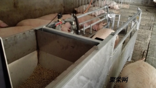 养殖最新设备,养殖最新设备，革新养殖技术，引领农业现代化