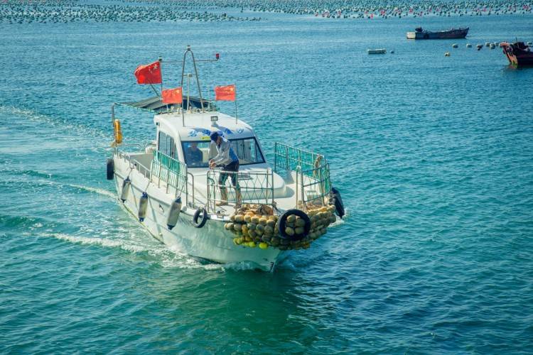 船海王最新季扬帆起航，自信成就梦想之舟之旅