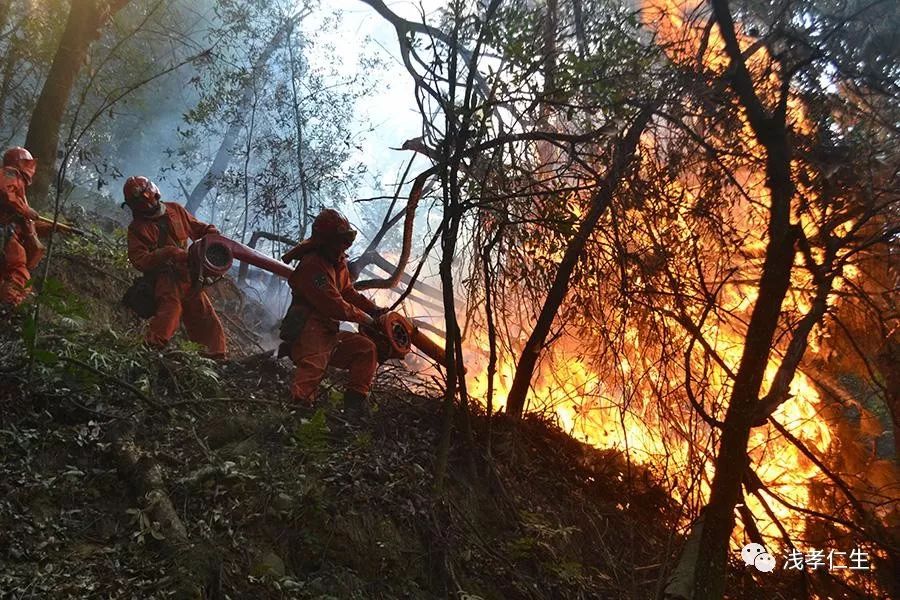 凉山最新山火,时代的烙印与自然的警钟在燃烧中敲响警钟