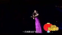 追逐流行音乐风潮，最新歌曲飞翔之际