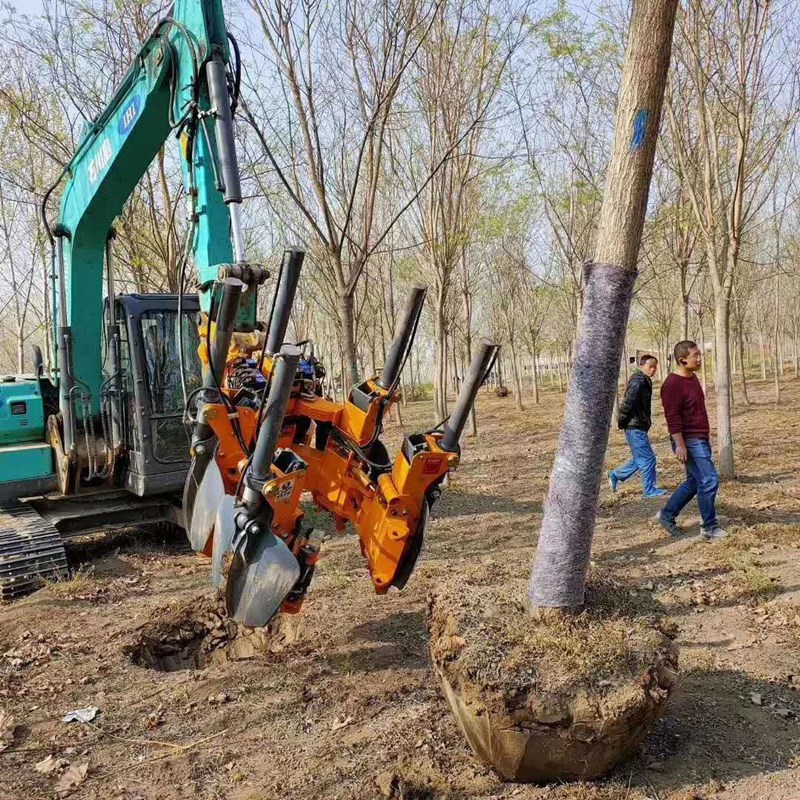最新拔树机，科技重塑自然，前沿绿色环保之旅体验