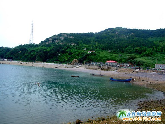 寿龙岛最新高科技产品介绍及体验报告