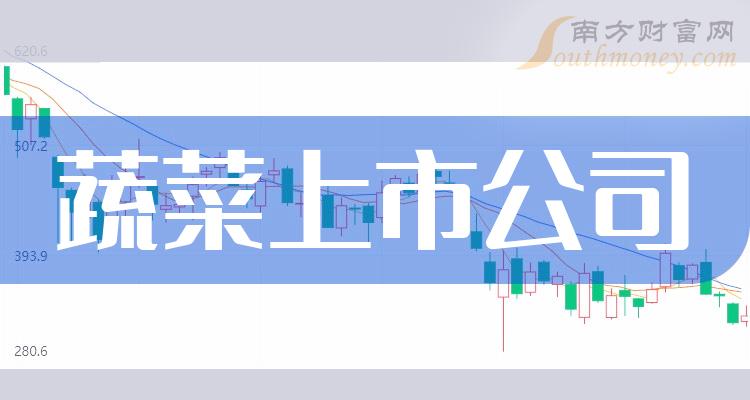 最新公司上市启航新征程，未来辉煌共同见证！