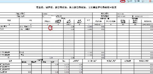 最新税务报表详细步骤指南及报表更新通知