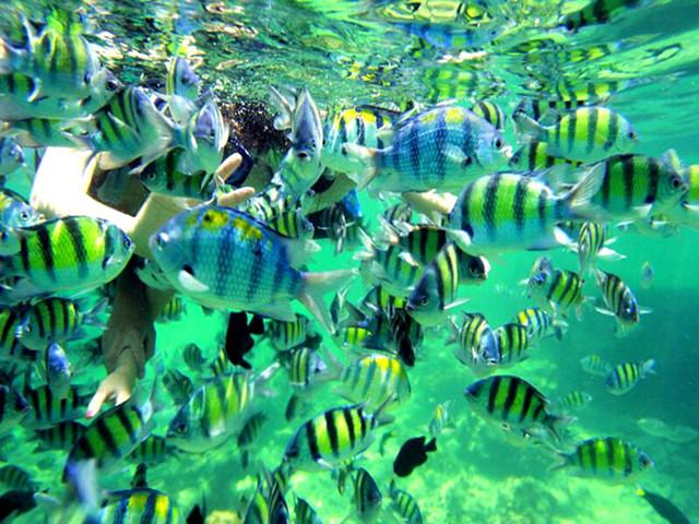 最新全国中考,深度观察与反思教育改革之路