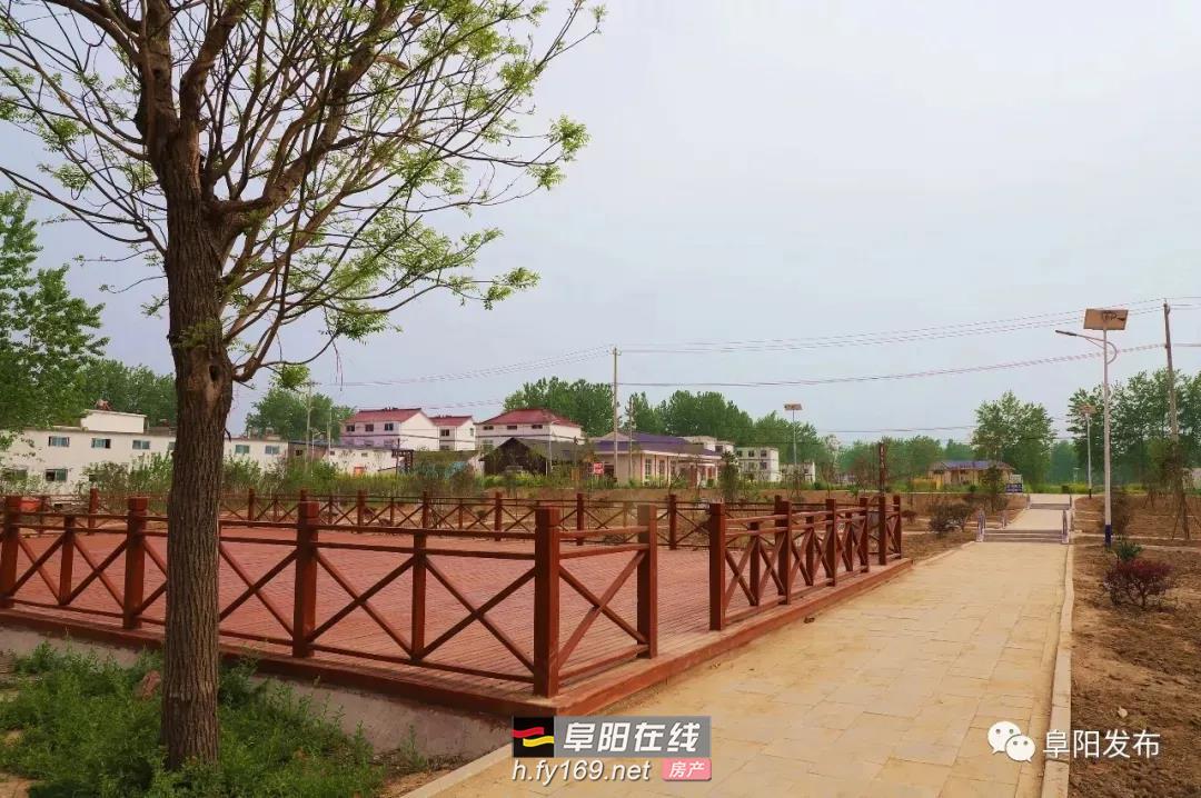 岗集最新信息概览，全面解读最新动态