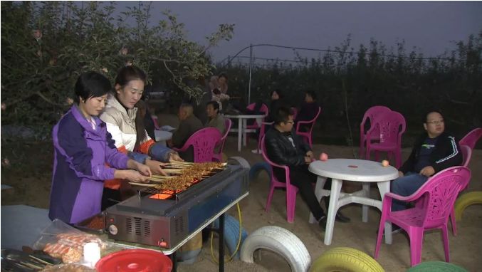 贾秋丽最新风采,时代之光下的璀璨明珠