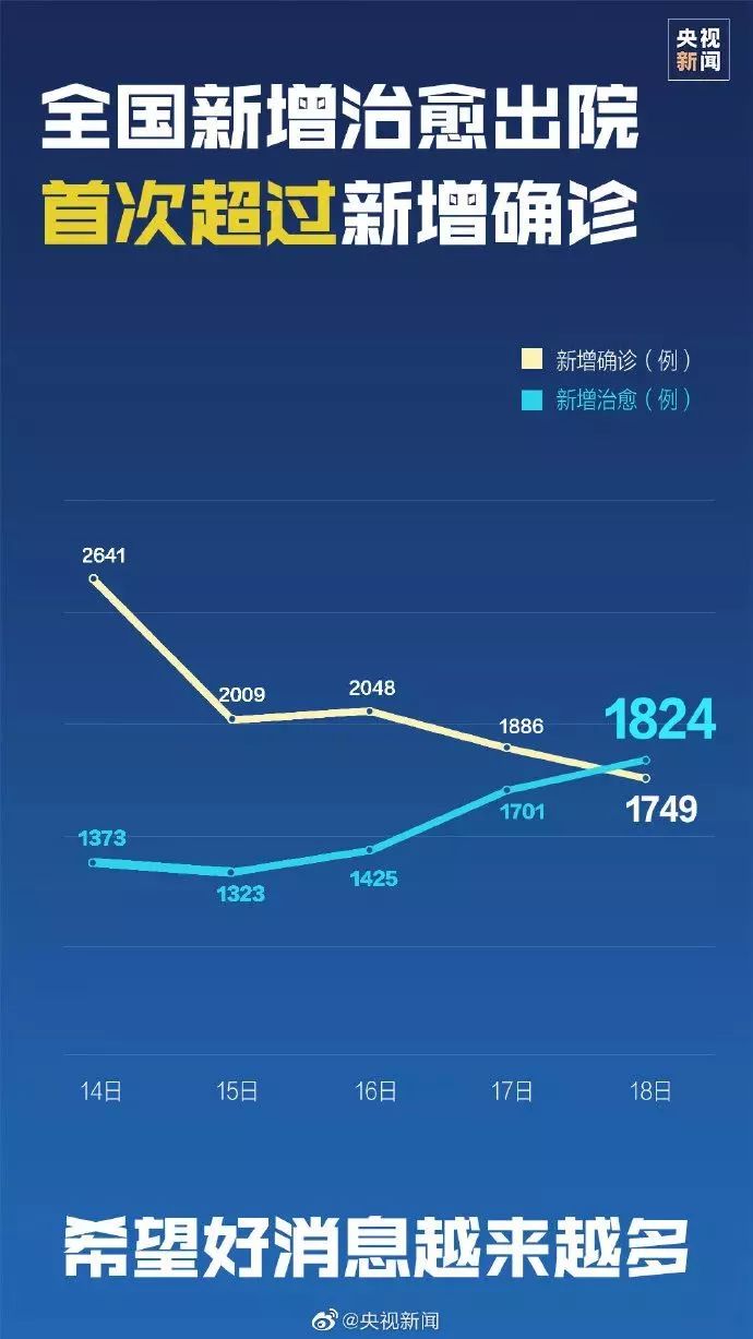 最新疫情报道综述,最新动态与论述