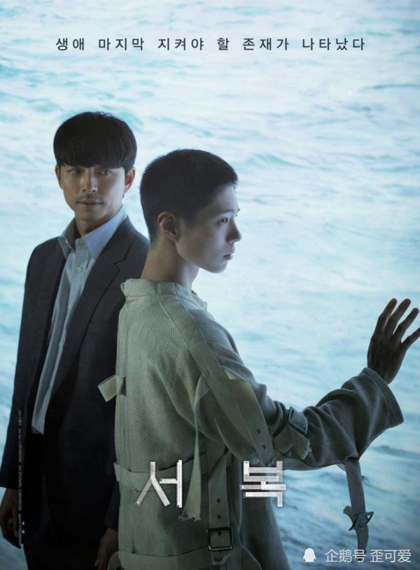 最新上映韩影网及其使用指南