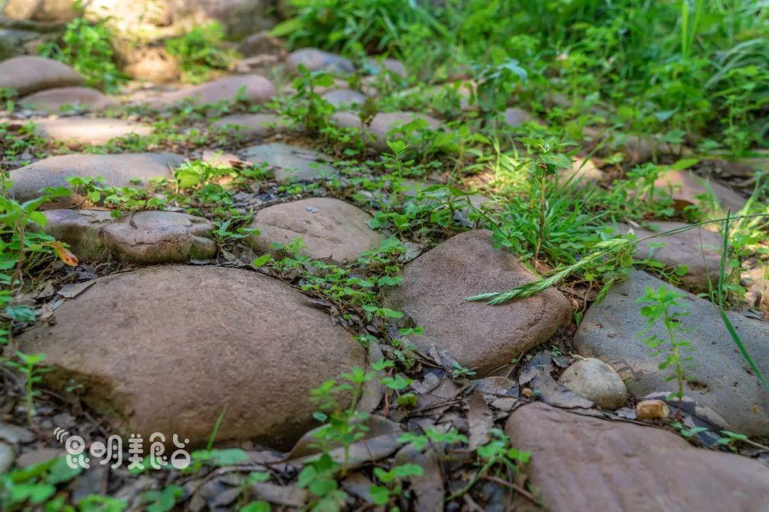 野猫网首页操作指南，从入门到进阶详解