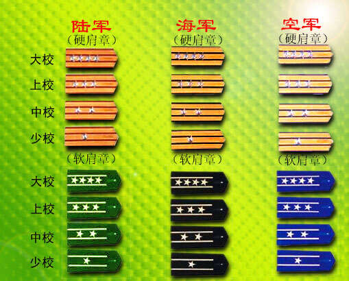 揭秘全球军队等级制度,最新军衔图概览