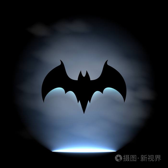 蝙蝠最新版揭秘,生态角色与重要性不可或缺