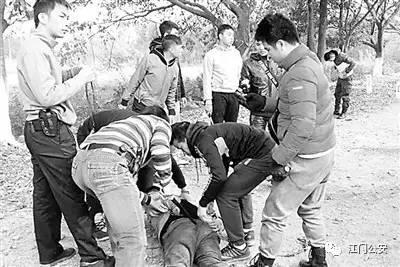 江门最新两例分析与步骤指南，初学者与进阶用户如何完成任务或学习技能