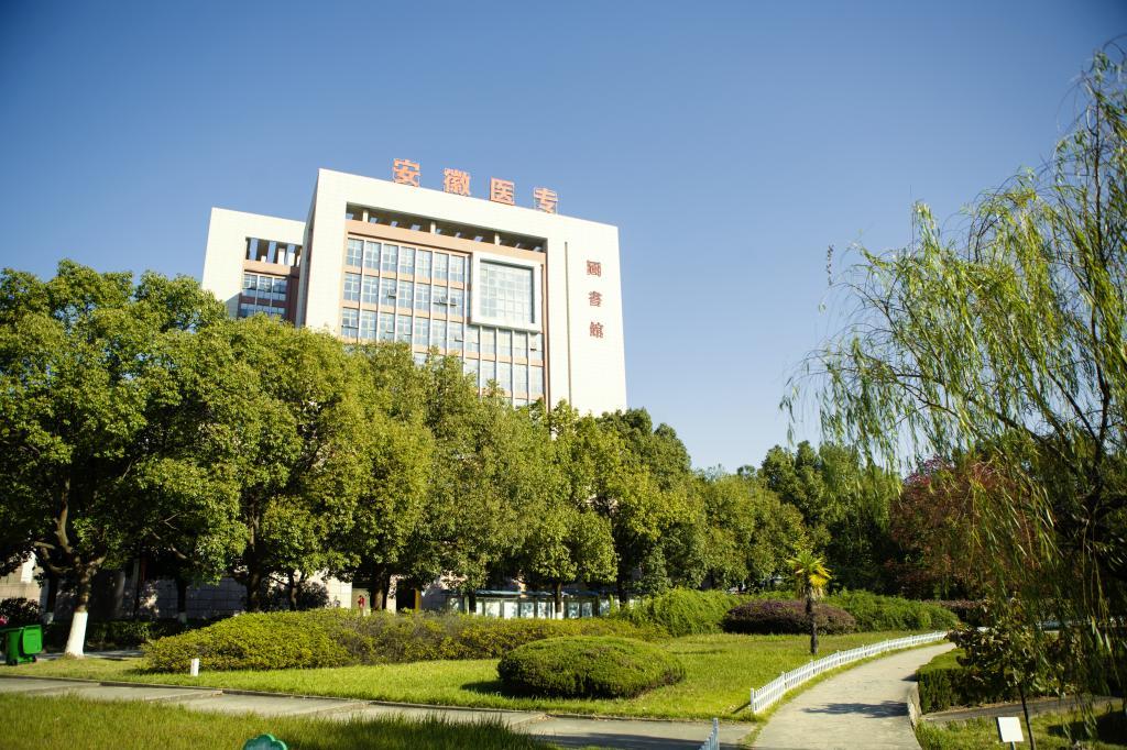 合肥最新动态,城市新篇章与温馨生活的交融