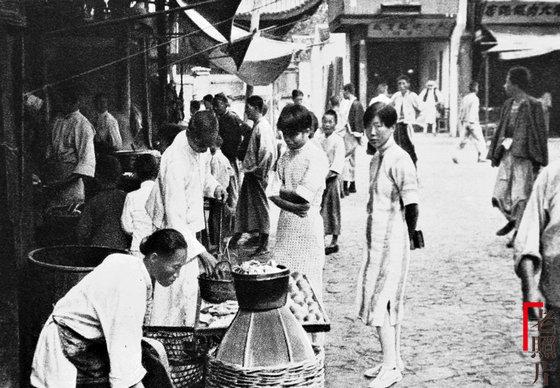 日本政府最新政策动向深度解析，某某观点探析