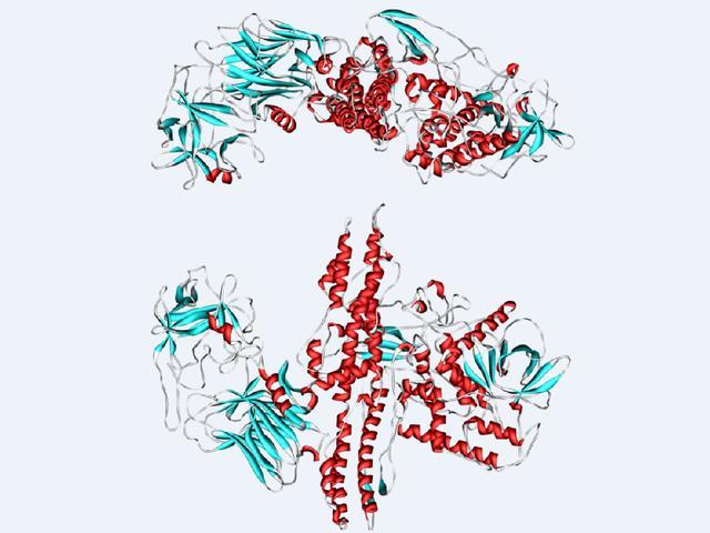 病毒最新来源揭秘，大自然神秘角落探寻与旅行的治愈力量探索