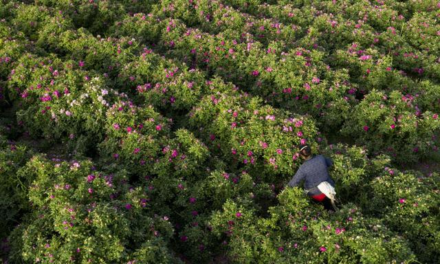 于田县最新,于田县最新任务完成或技能学习指南（初学者/进阶用户适用）