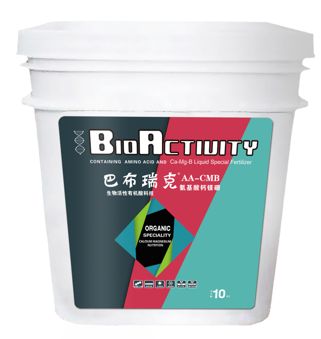 巴布瑞最新指南，掌握任务完成与技能学习详细步骤攻略