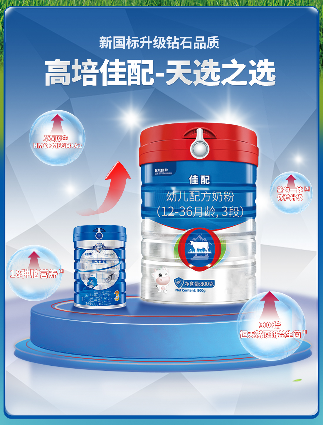 高培奶粉最新动态,小巷中的秘密宝藏,独特奶香探索之旅