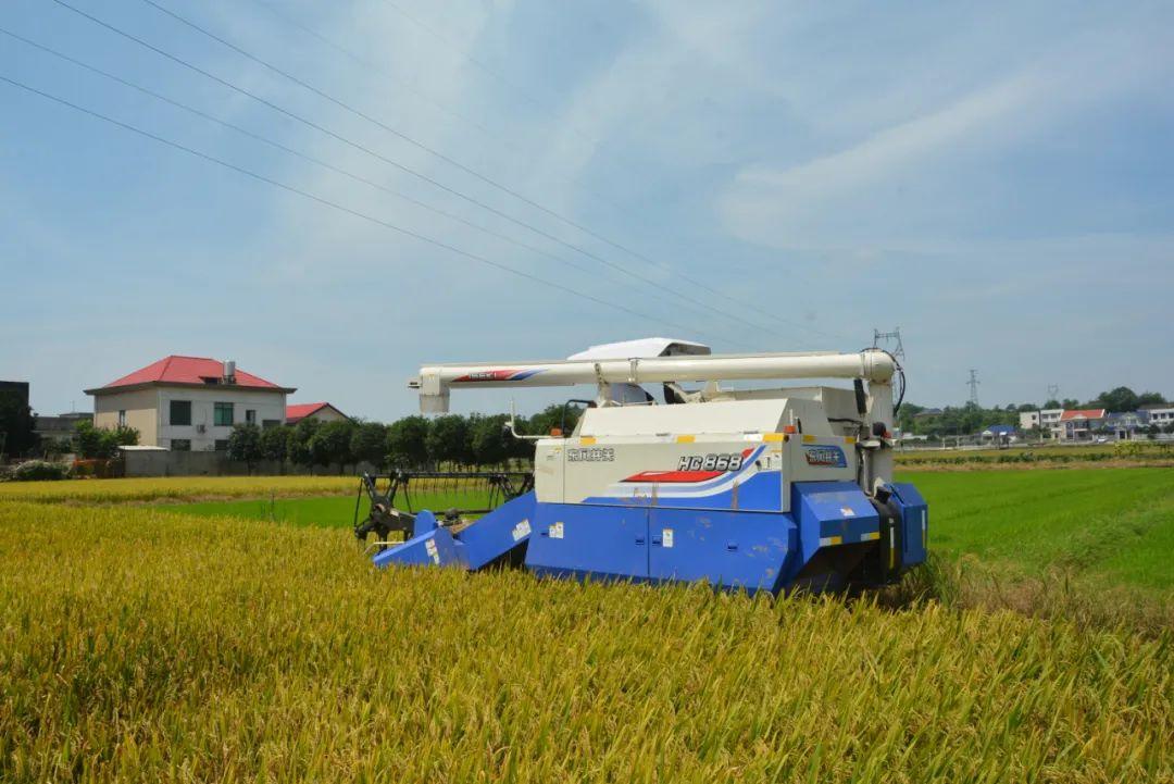 东风井关最新动态,开启自信与成就的新篇章