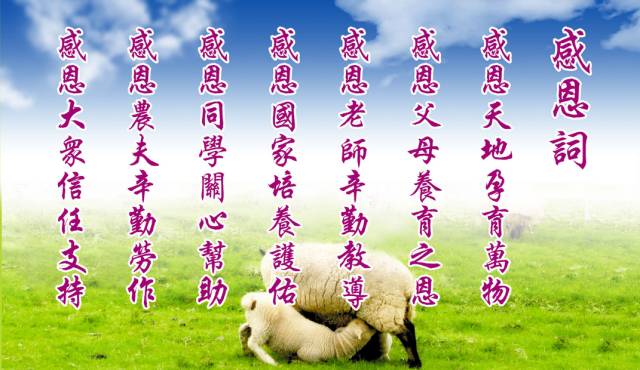 感恩父母,传递爱与温暖,最新敬亲恩活动启动💖