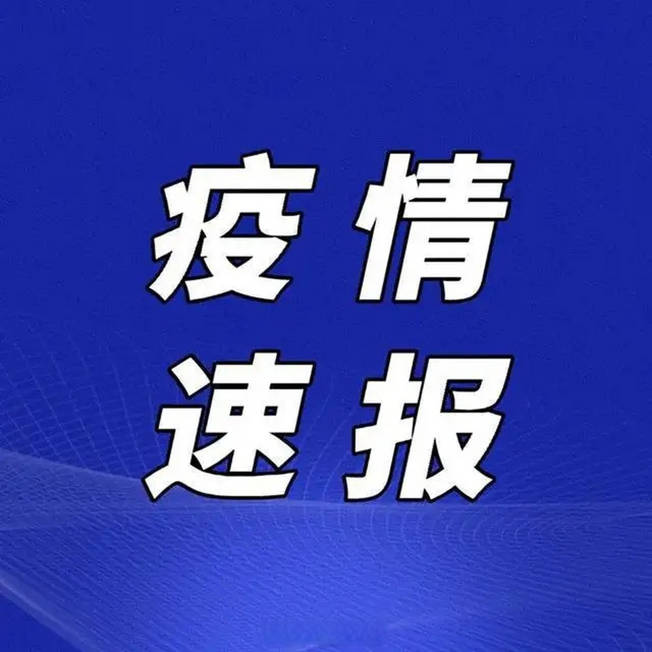 本土最新疫情通报详解,全面解析与关键信息汇总报告