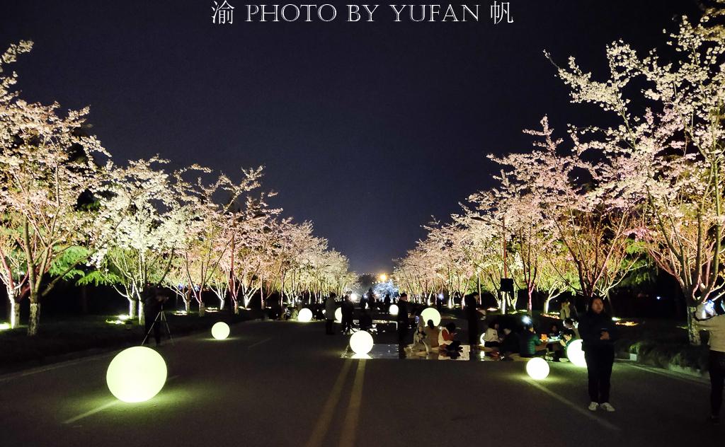 宅樱影院最新版，私人观影空间的极致体验