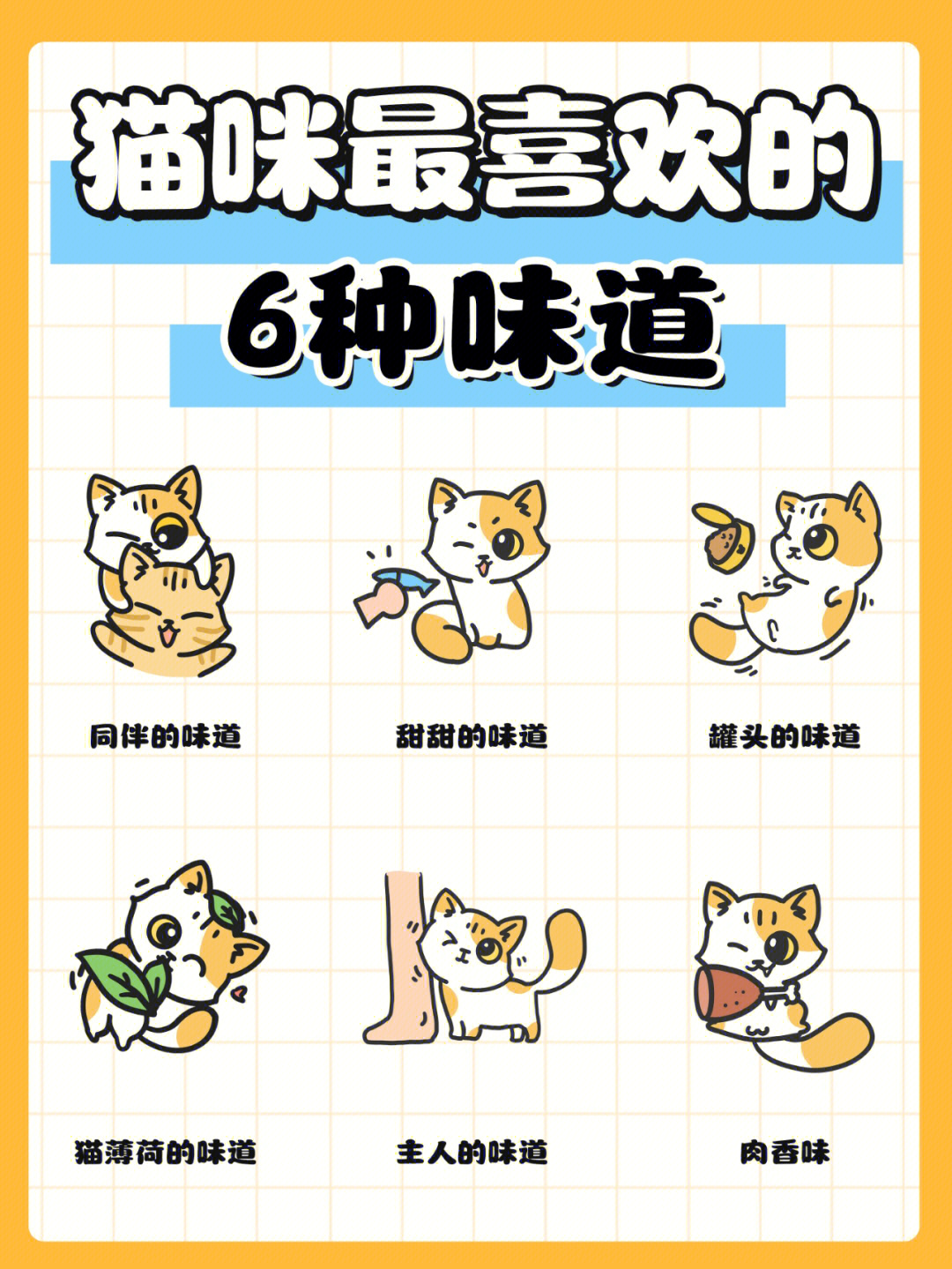 猫味最新破解版探索,小巷神秘小店的诱人之旅