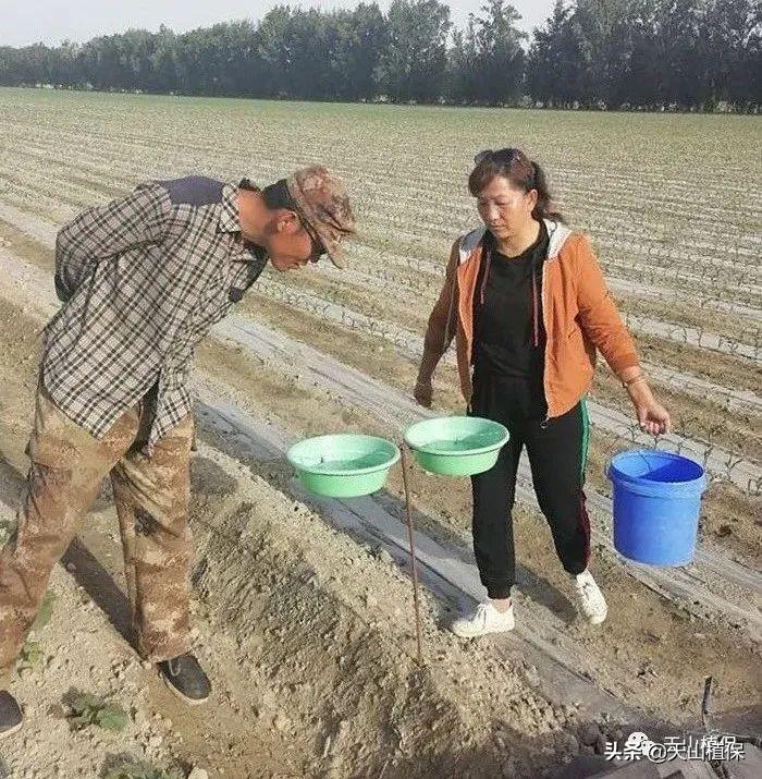 最新一代杀虫技术，变化、学习与自信的力量引领革新之路