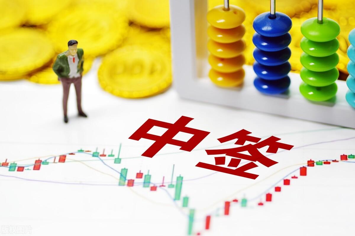 可转债中签号最新公布，解读要点、趋势与影响分析