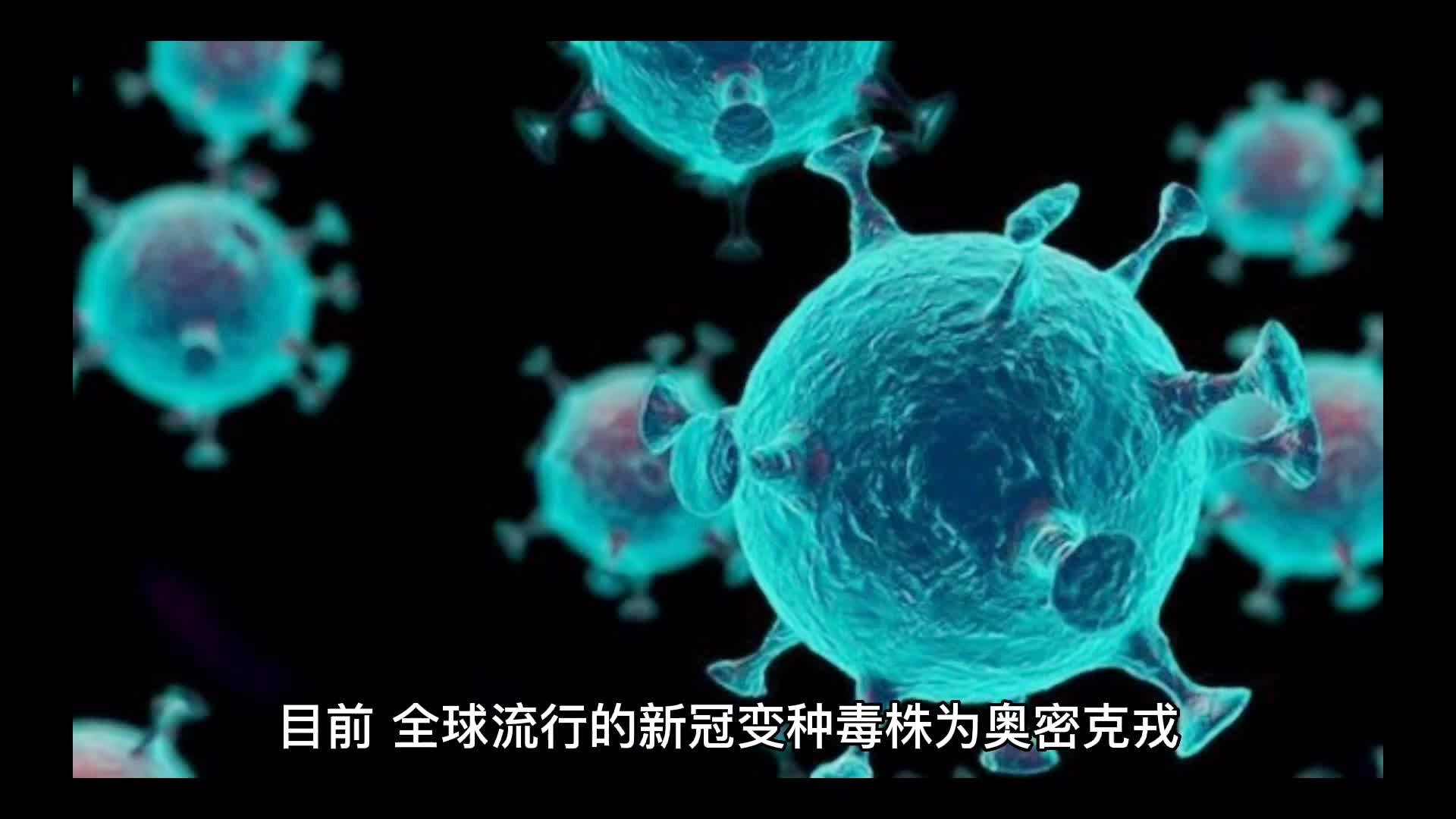 新冠变异研究揭秘，日常趣事与最新进展探索