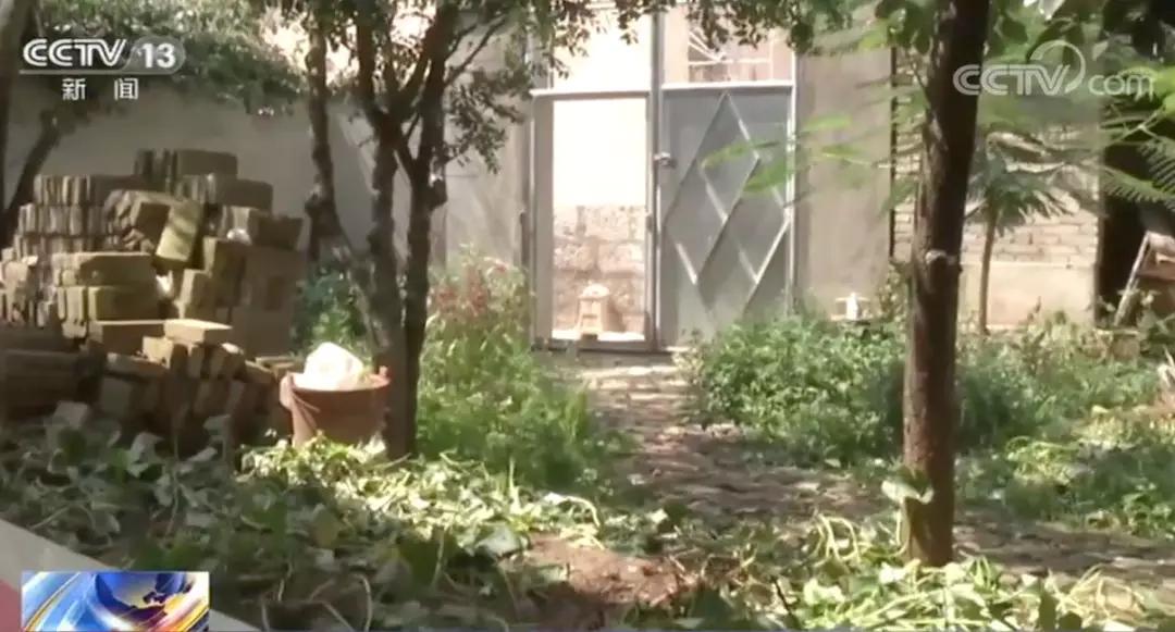 正当防卫最新认定,小巷深处的探索之旅