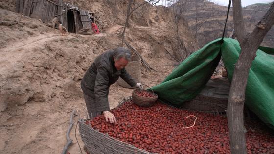 我们家最新动态，探讨孩子教育方式的选择与实践