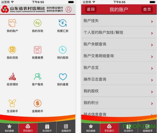 山东农信最新版,与自然美景的邂逅,踏寻内心平和之旅