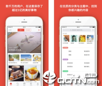 堆糖最新版下载,价值与风险的探讨