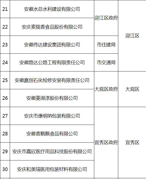 安庆市最新公示解读，聚焦要点，揭示新发展蓝图