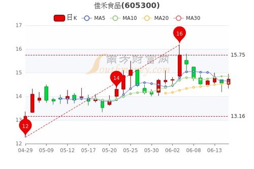 佳禾股份最新动态概览