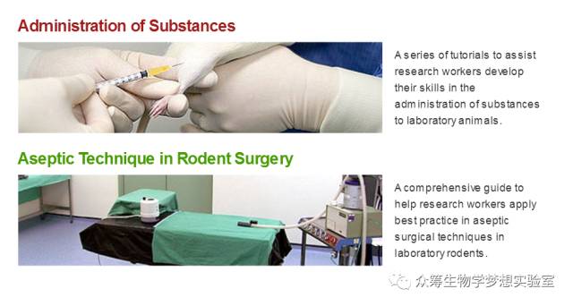 肌肉注射操作视频最新，入门指南与操作要点解析详解视频发布