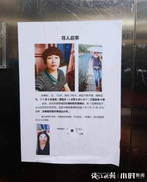 浙江来女士最新动态,拥抱自然,探寻内心宁静与和谐之道