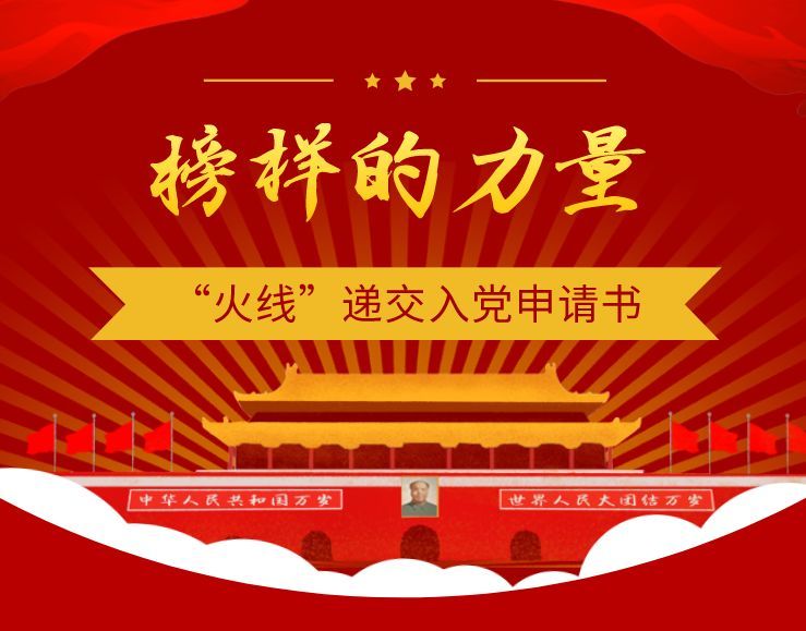 最新党员模范先锋,日常中的温暖与陪伴的力量