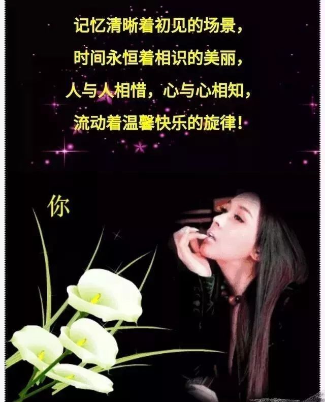 最新最火情感本,高科技产品介绍与情感体验融合文案