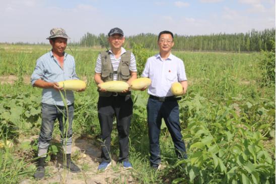 能源集团新领导班子，科技领航重塑未来能源格局之路