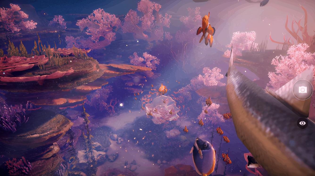 华为与网易最新事件概览