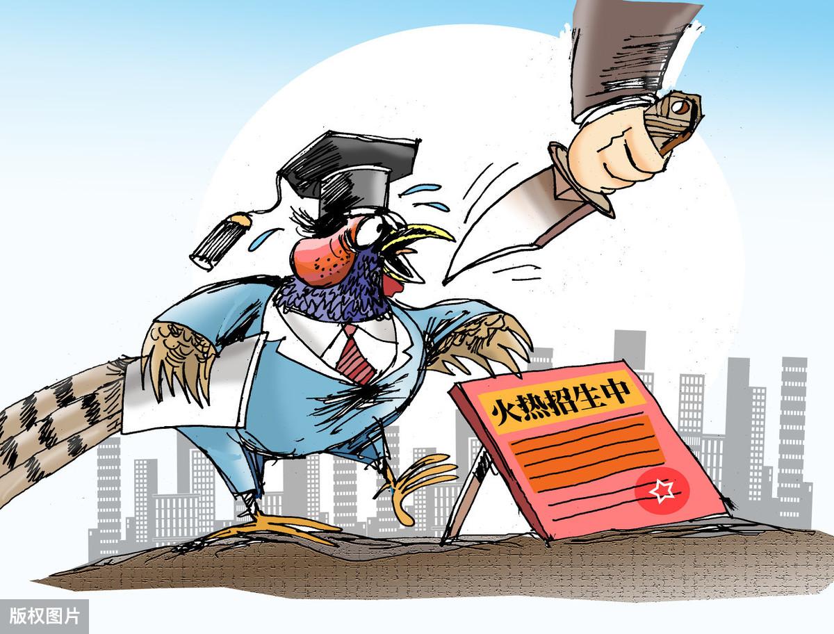 河南郑州废纸最新价格,河南郑州废纸最新价格探析